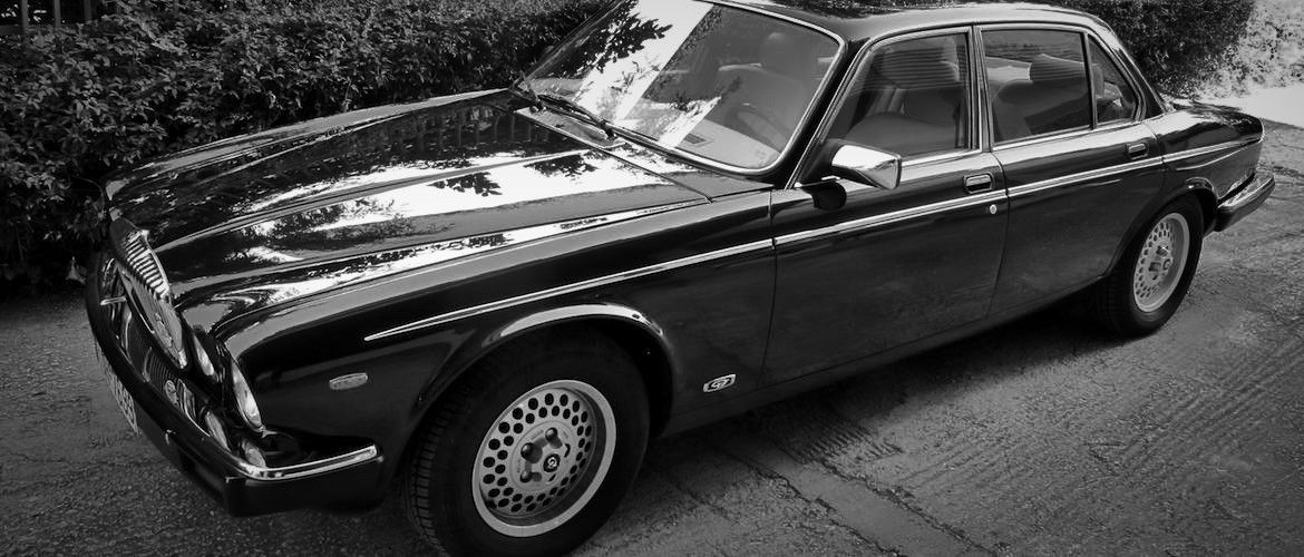 Jaguar Tenerife